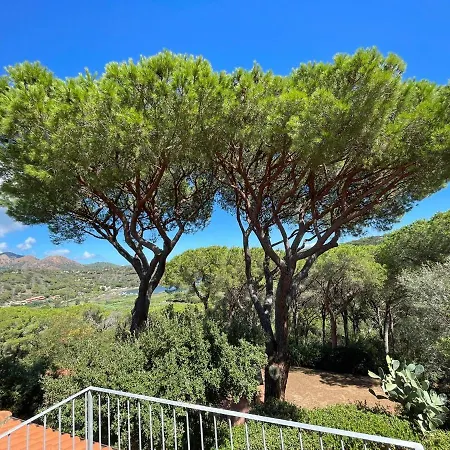 Apartment Il Mandorlo