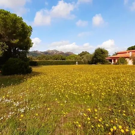 Appartement Il Mandorlo *