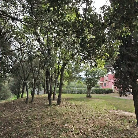 Il Mandorlo Capoliveri (Isola d'Elba)