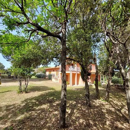 Apartment Il Mandorlo Capoliveri (Isola d'Elba)